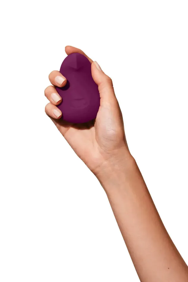 Dame Vibrators Pom Plum