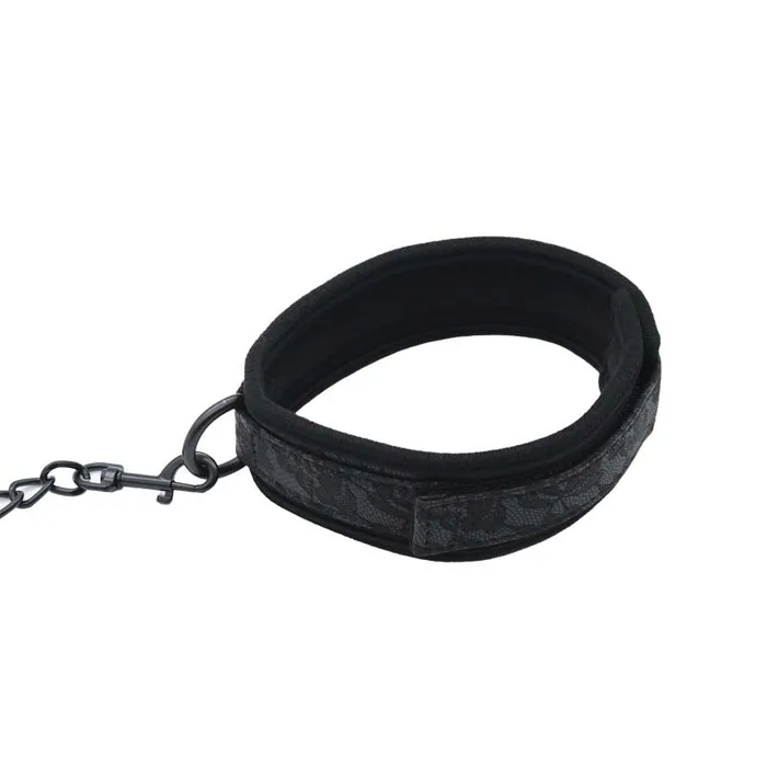 Osa Vibrators Seguimi