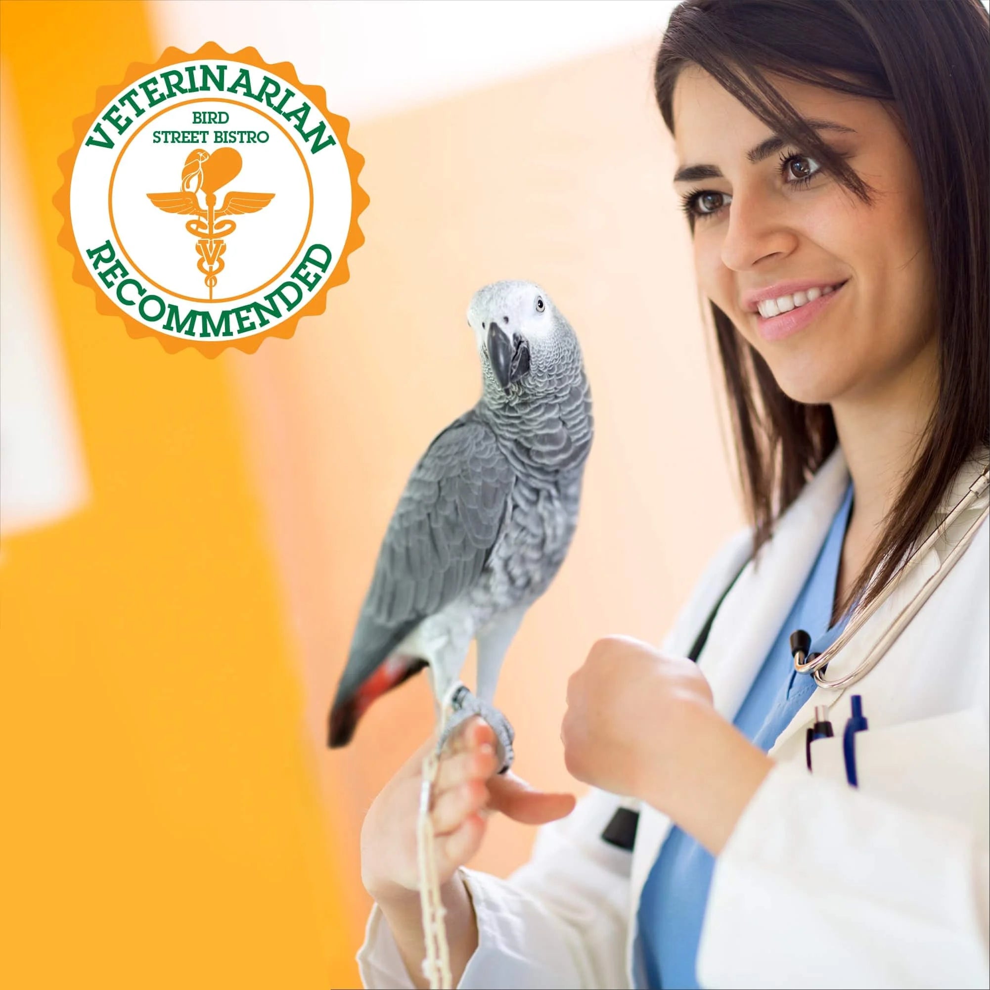 Natural Parrot Food I1610