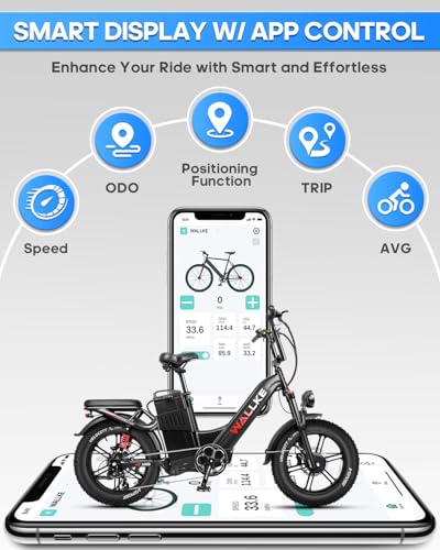 20" Fat Tire AWD Dual Motor Electric Bike I316