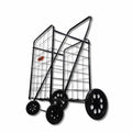 Extra Large Heavy Duty Folding Shopping Grocery Storage Cart Q648