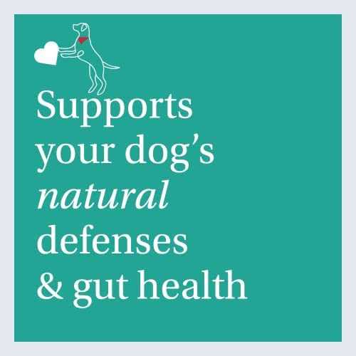 Dental Sticks Dog Dental Chews U2742
