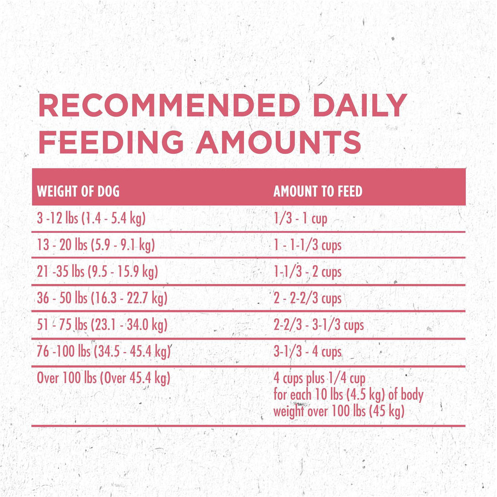 Dry Dog Food B5323