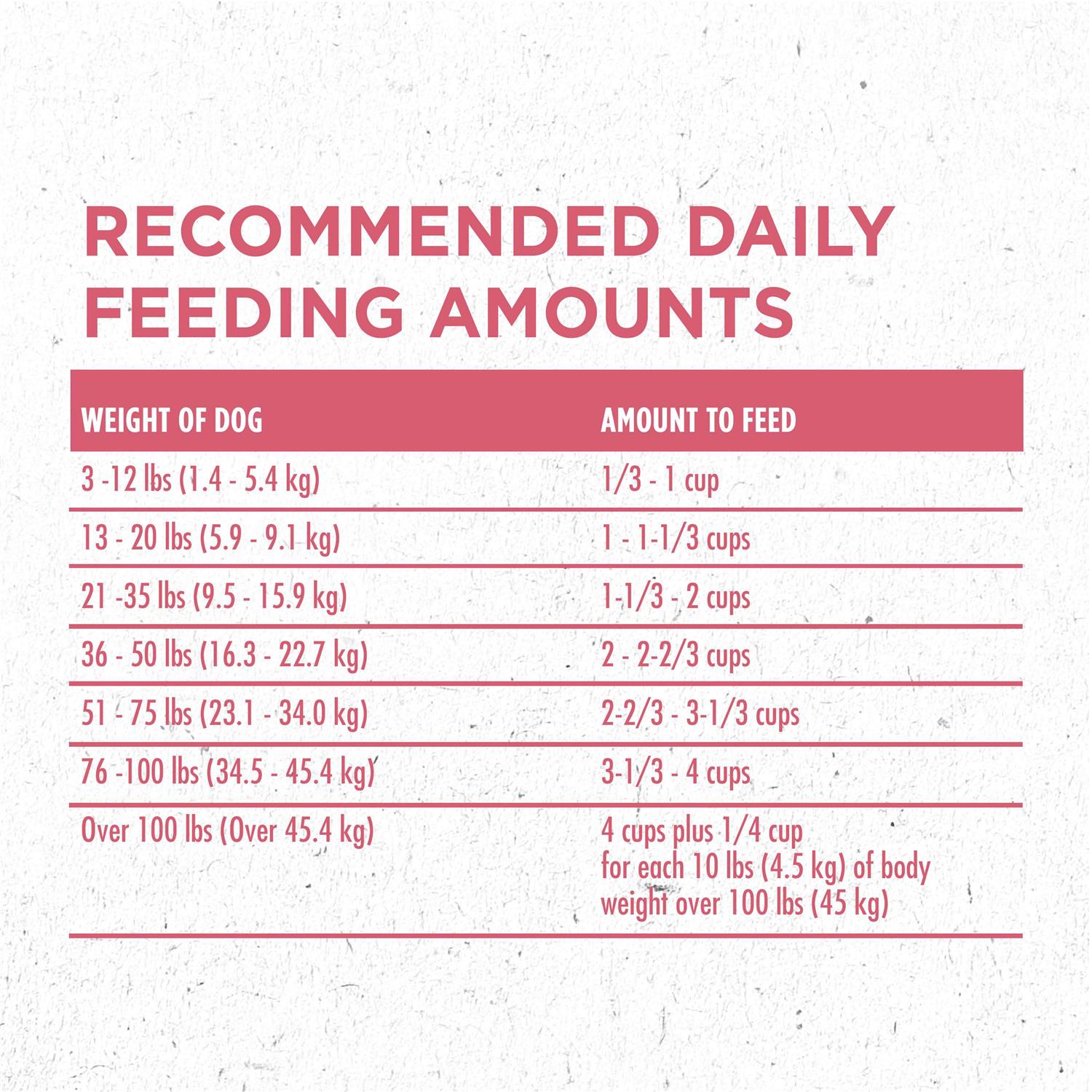 Dry Dog Food B5323