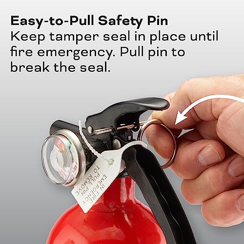 2-A:10-B:C 7.13 Lbs. Fire Extinguisher with Hose and Wall Mount E843