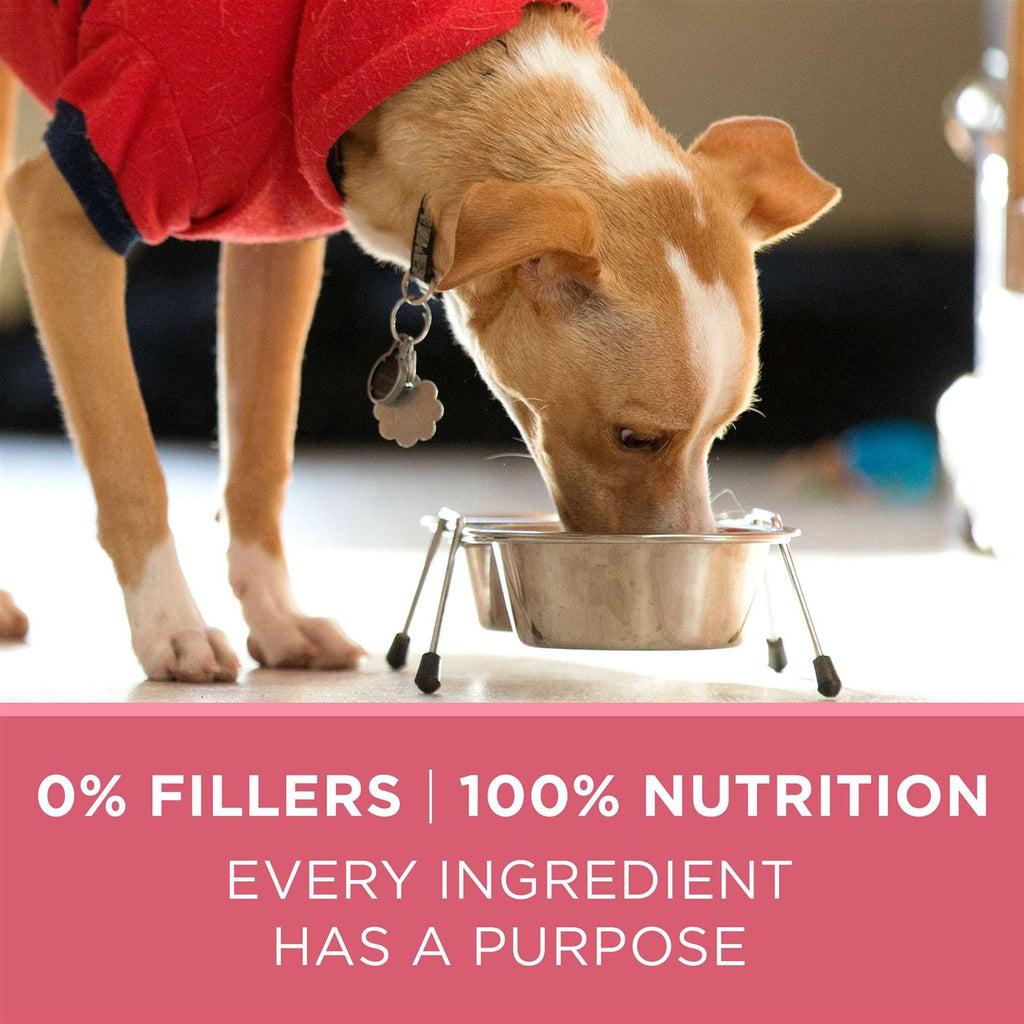 Dry Dog Food B5323