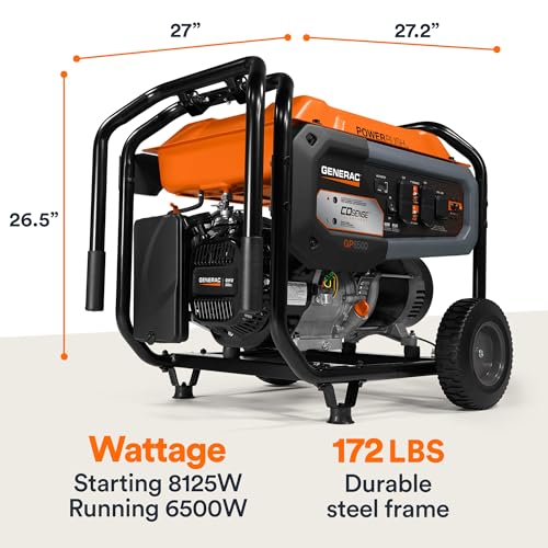 8,000-Watt Gas-Powered Portable Generator with Electric Start Q61021