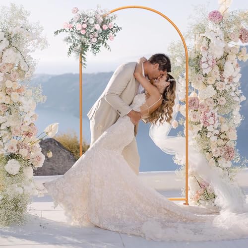 7.2FT Gold Metal Arch Backdrop Stand D833