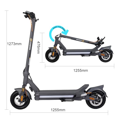 1200W Motor Electric Scooter with 10.5" Off Road Tires R4060