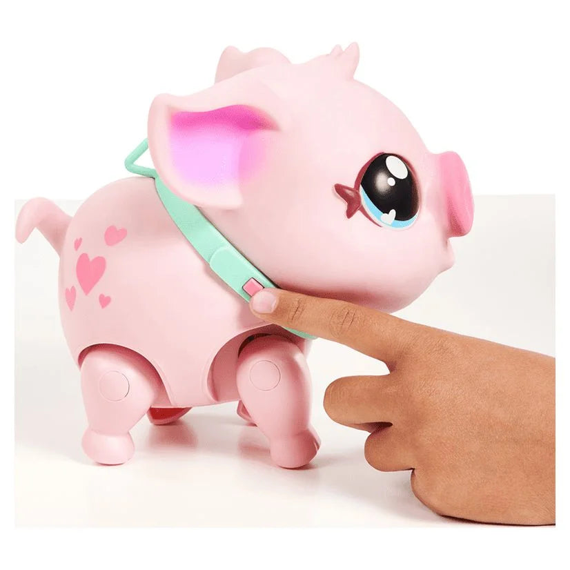 My Pet Pig A220909