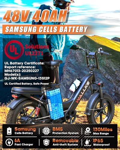 20" Fat Tire AWD Dual Motor Electric Bike I316