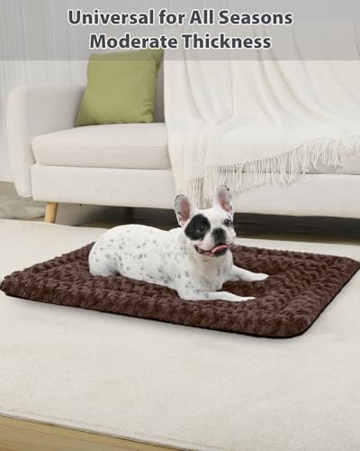 Gray 41 x 27 Inch Washable Dog Bed Mat G31348