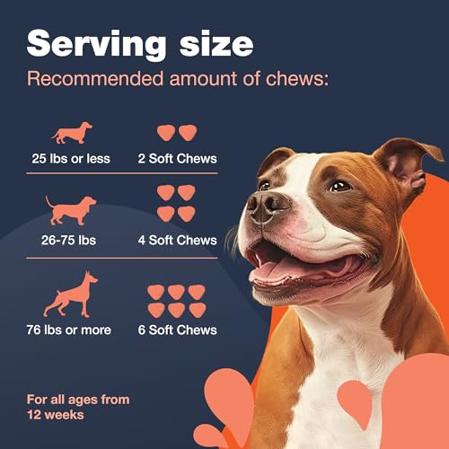 Glucosamine Chondroitin Dog Chews with MSM U103033