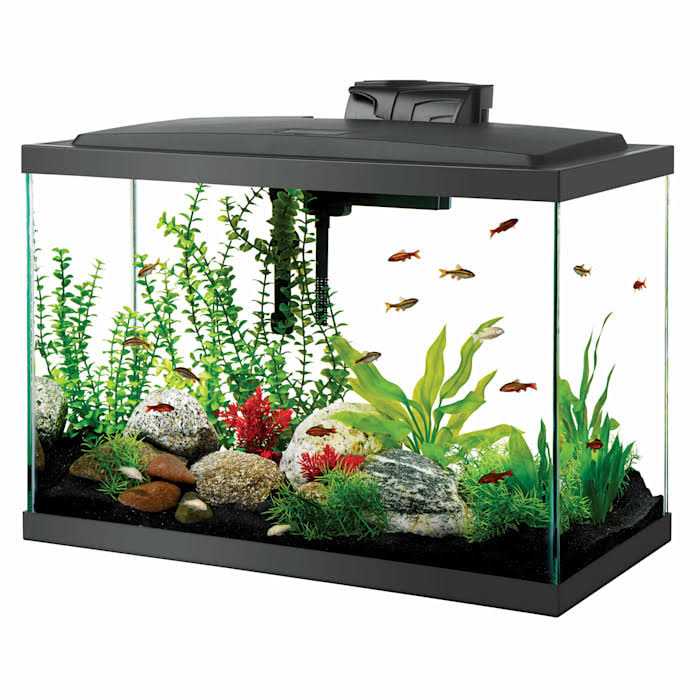 Standard Aquarium E745849