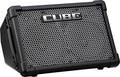 2x8" 50-watt Battery Powered Combo Amp S521