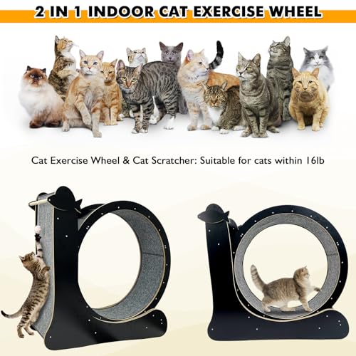 Nature Wood Cat Exercise Wheel Z849