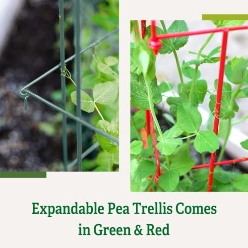 Expandable Tall Pea Trellis for Climbing Plants, 9'-8" L x 37" H - Green K724710