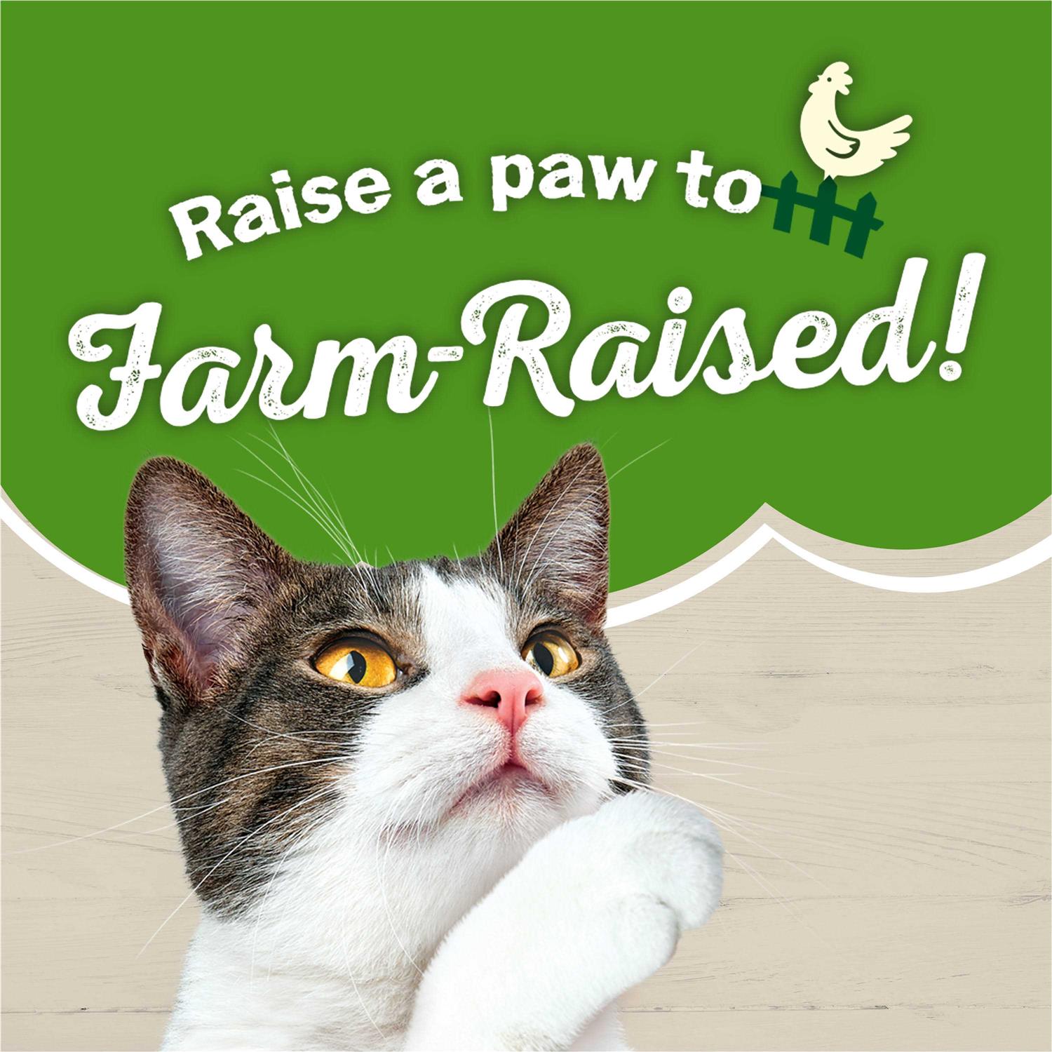 Farm Favorites Pate Wet Cat Food Variety Pack Q760