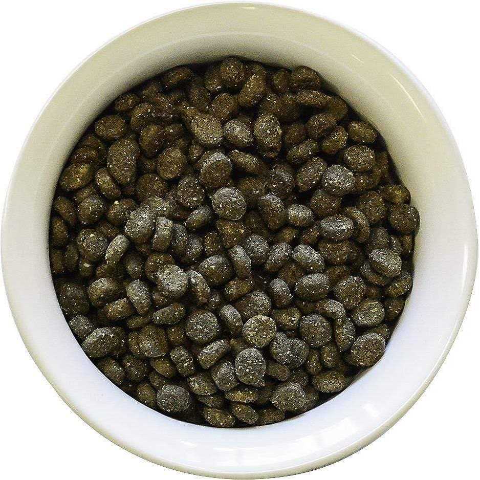 Canine Chicken Meal Feast Dry Dog Food Y6927