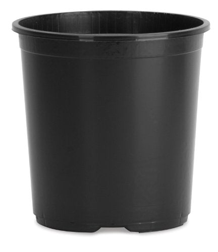 2.62 Gal Black Plastic Nursery Pot with Drainage Holes C389165