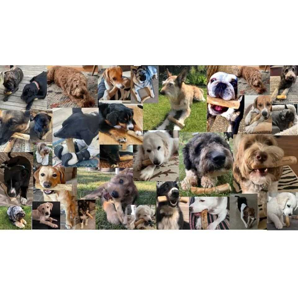All-Natural Coffee Wood Dog Chew Toys D964
