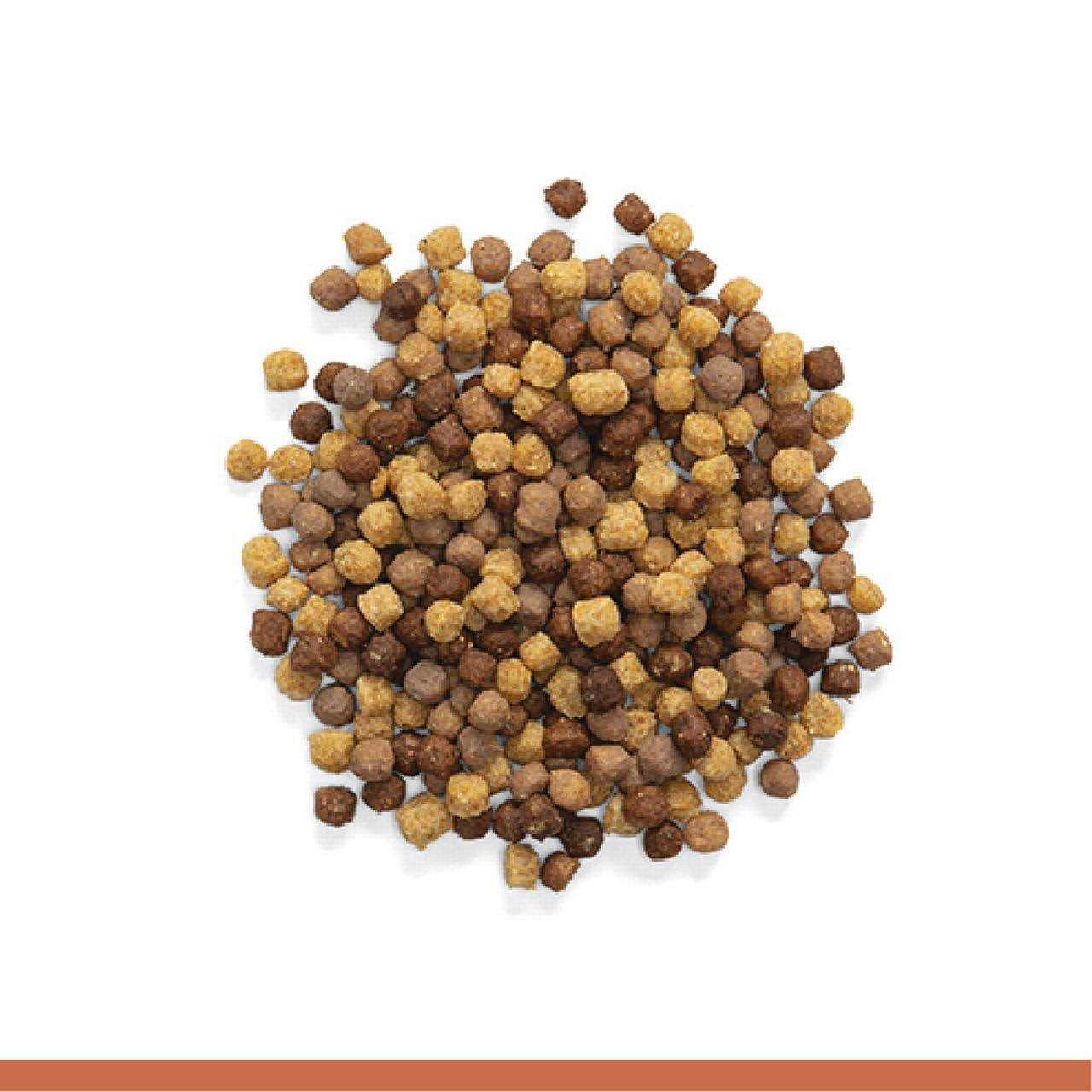 2 lbs Bird Food with Natural Nut Flavor X89979