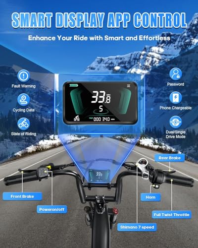 20" Fat Tire AWD Dual Motor Electric Bike I316