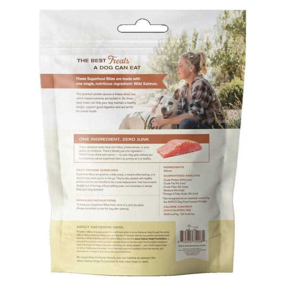 Salmon Treats A42860