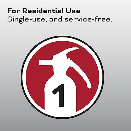 2-A:10-B:C 7.13 Lbs. Fire Extinguisher with Hose and Wall Mount E843