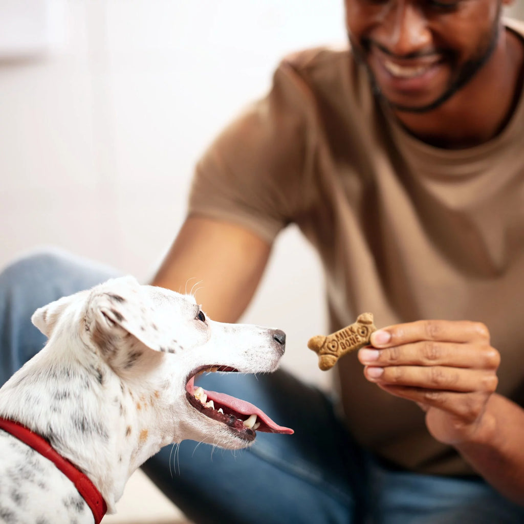 Small Dog Biscuits, 8-Pound Z284