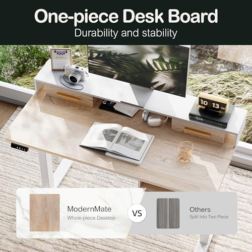47.2 x 23.6 Inch Electric Height Adjustable Standing Desk with 4 Drawers J579