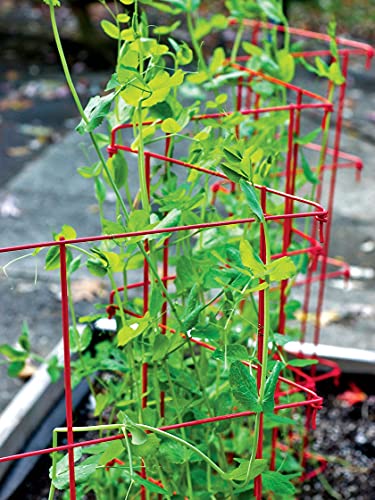 Expandable Tall Pea Trellis for Climbing Plants, 9'-8" L x 37" H - Green K724710