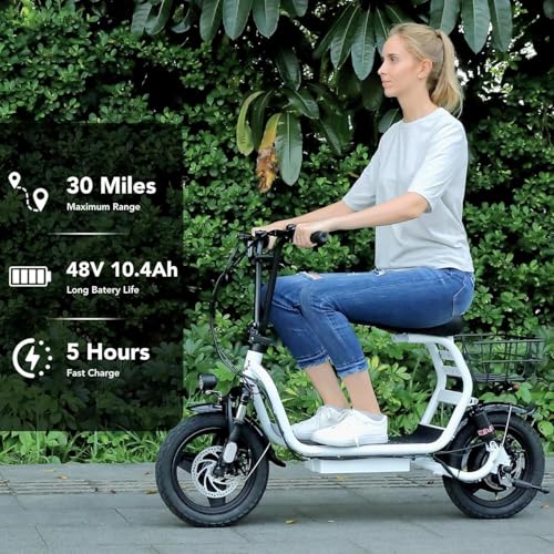 500W/800W/1200W Electric Scooter with Seat, 14" Fat Tire, Foldable Electric Scooter S748