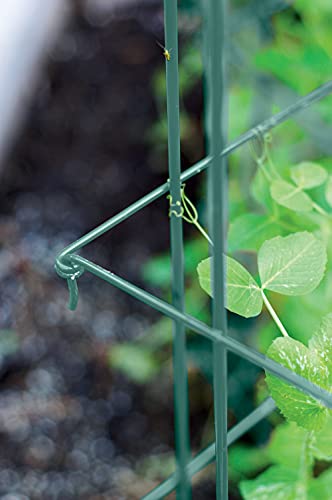 Expandable Tall Pea Trellis for Climbing Plants, 9'-8" L x 37" H - Green K724710