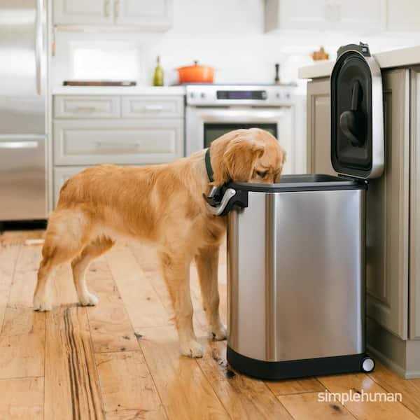 Stainless Steel Large Pet Food Storage V732009