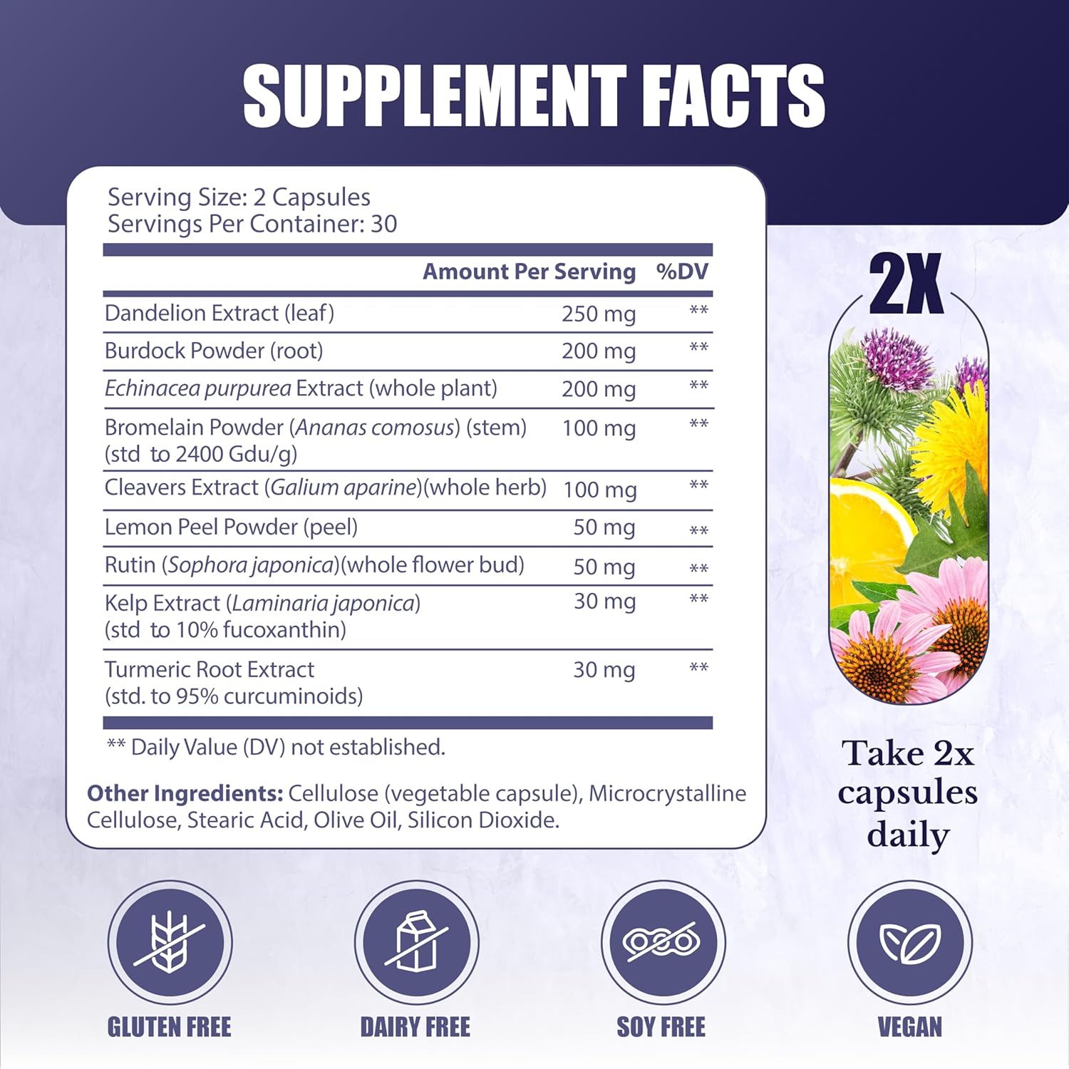 60 capsules Lymphatic System Supplement with 9 Botanicals W619