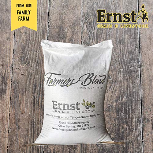Whole Corn (50 lb) T963
