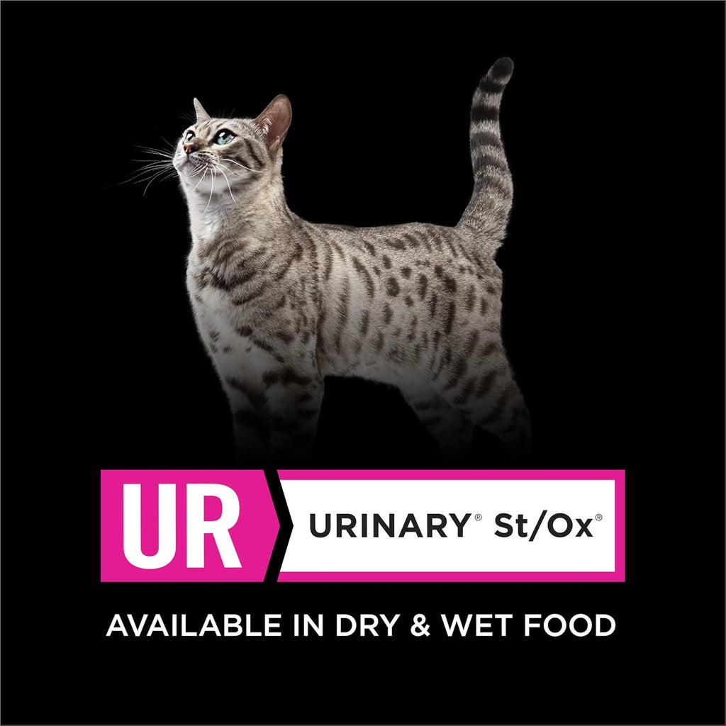 24 x 5.5 oz Wet Cat Food Y362875