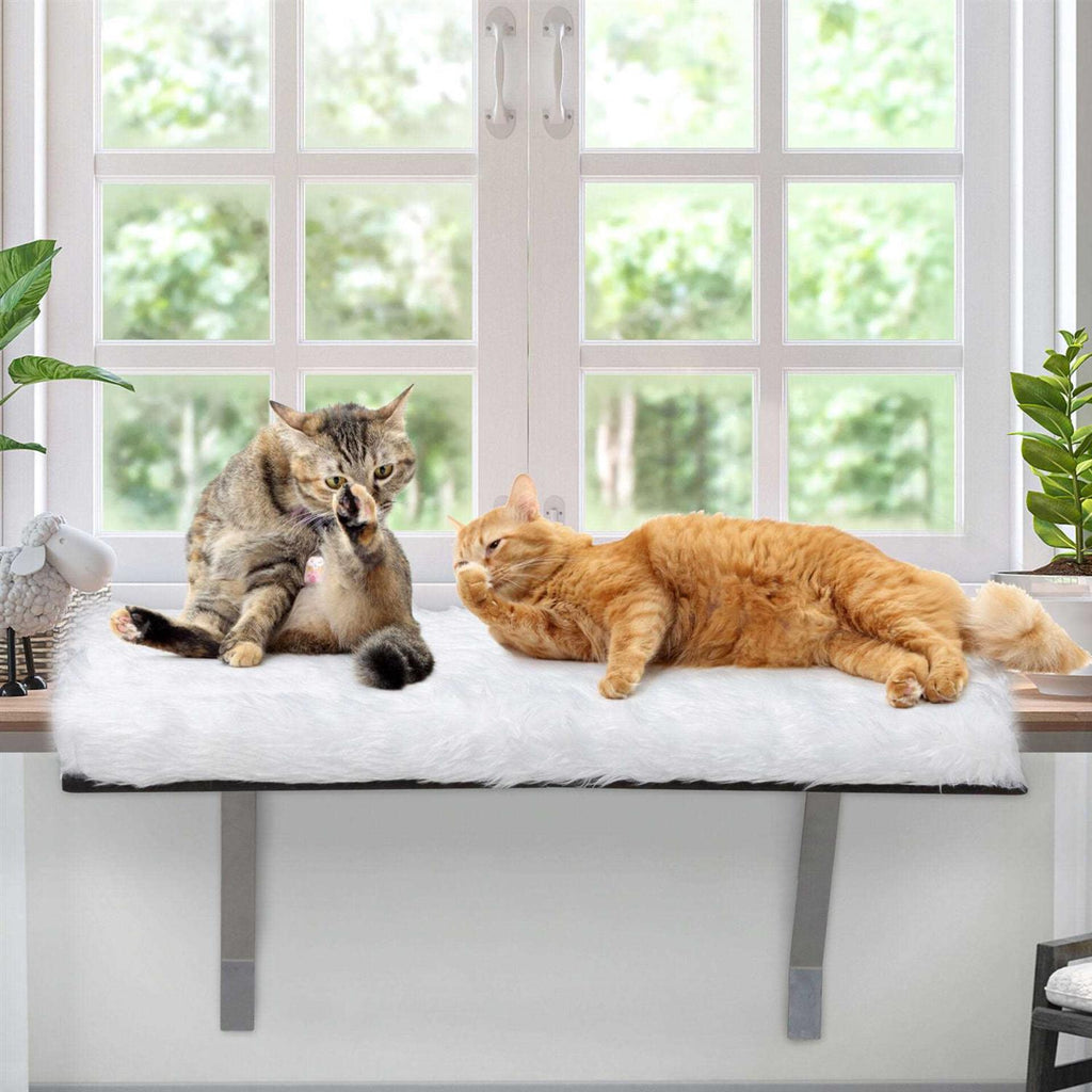 Cat Window Perch with Soft Cushion X784364