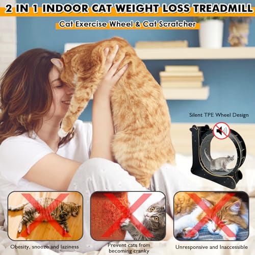 Nature Wood Cat Exercise Wheel Z849