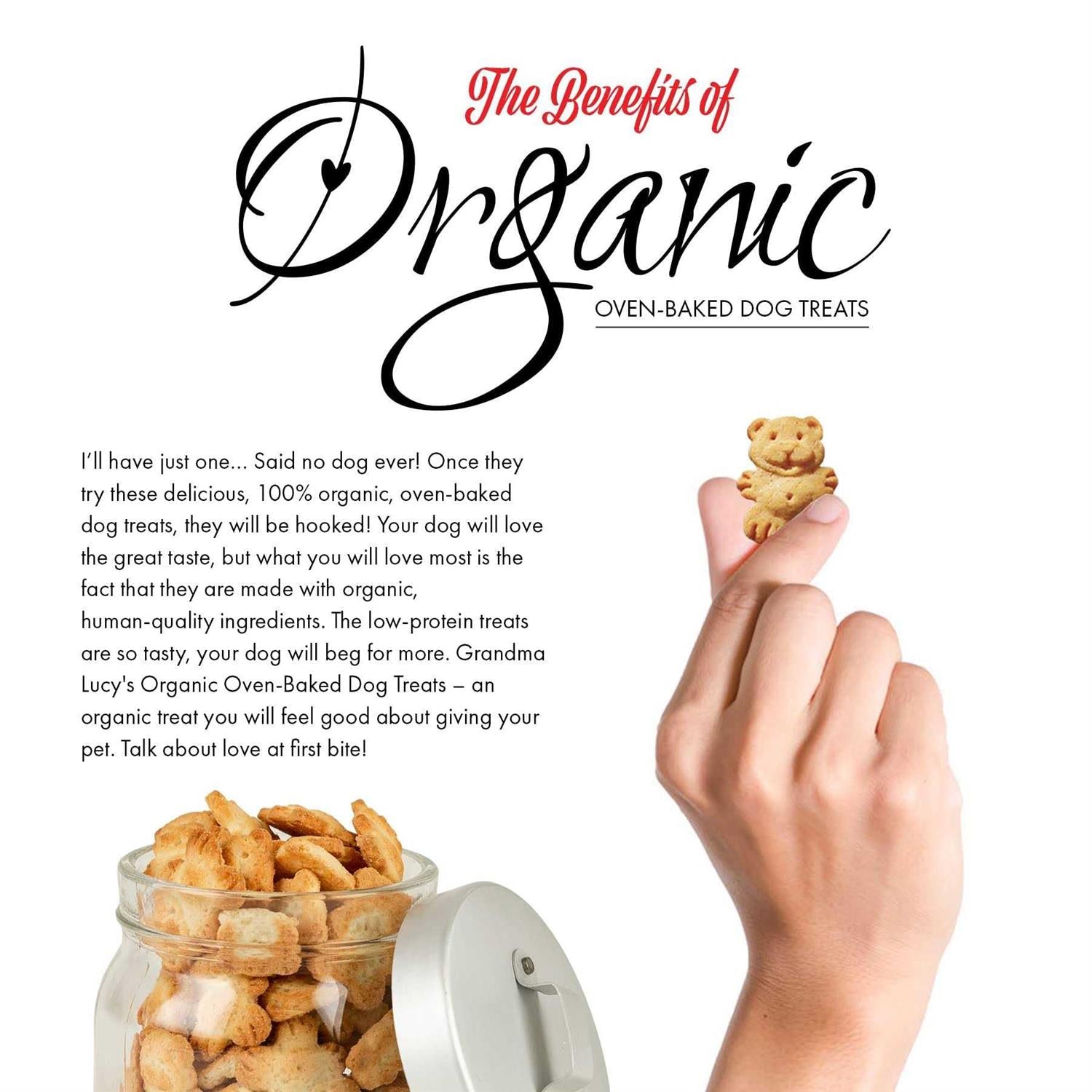 Organic Banana & Sweet Potato Oven Baked Dog Treats M834143