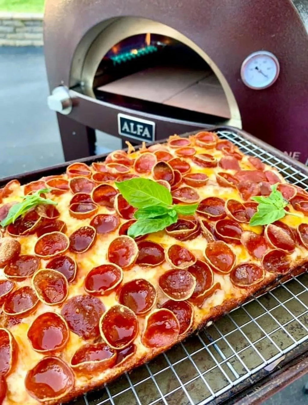 Nano Gas or Wood Fire Hybrid Pizza Oven S98897