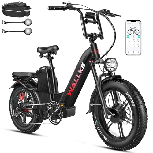 20" Fat Tire AWD Dual Motor Electric Bike I316