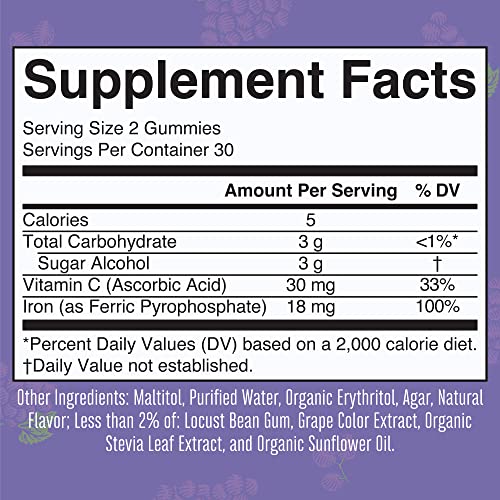 Sugar Free Iron Gummies with Vitamin C, 60 Count Y412191