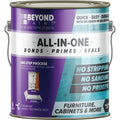1 Gallon All-in-One Refinishing Paint U489