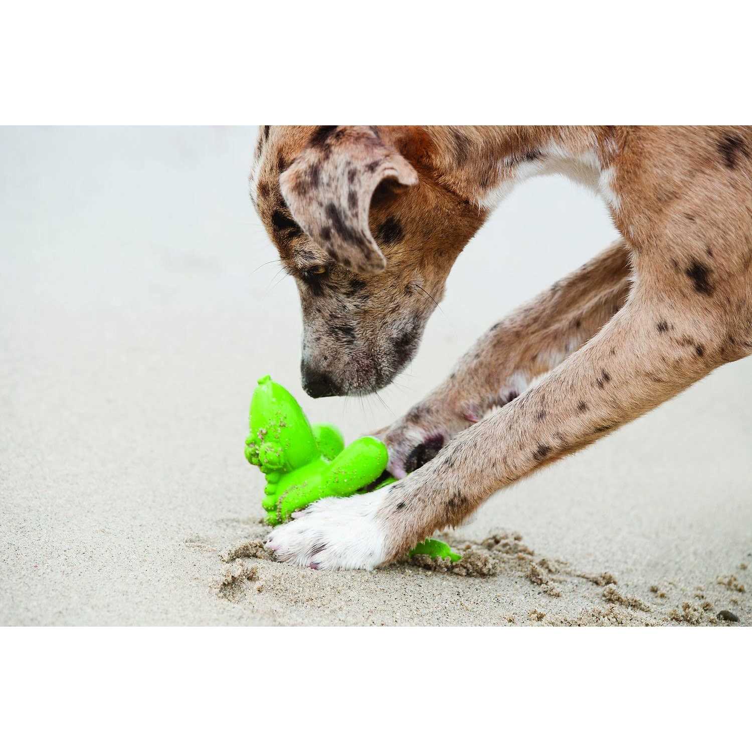 Latex Balloon Dog Toy E496