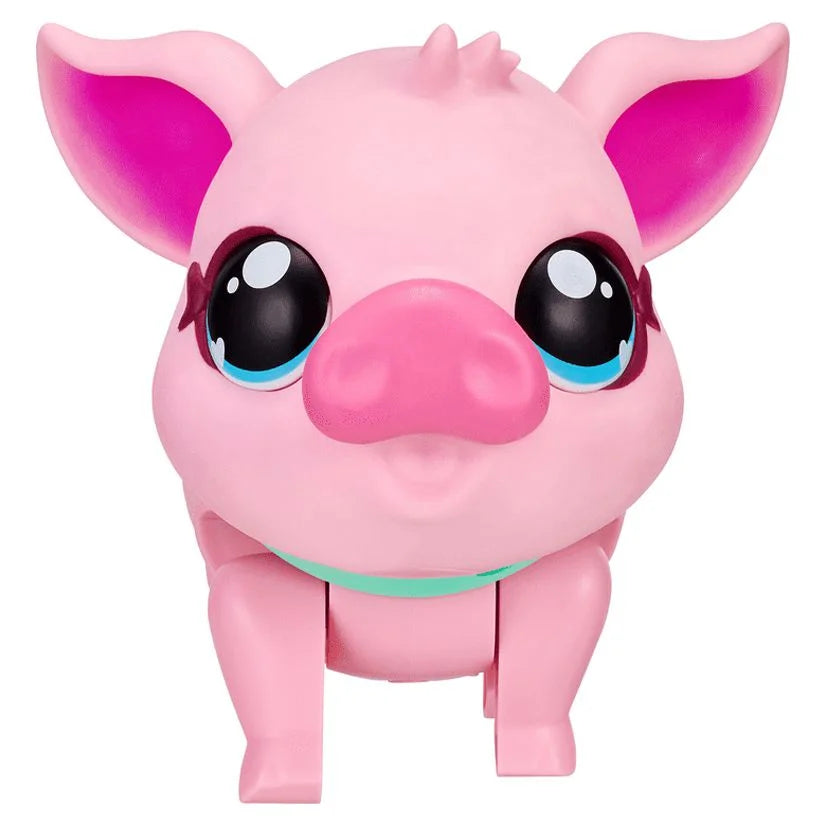 My Pet Pig A220909