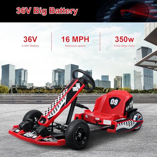 Electric Go Kart with 350W Motor P16875