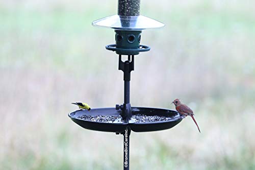 Green Squirrel-proof Bird Feeder with 6 Feeding Ports, 5.1-pound Seed Capacity, Pole-mountable Y70372