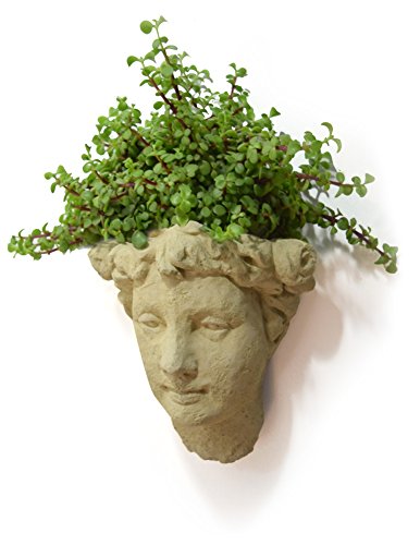 12-Inch Cast Stone Wall-Mounted Head Planter L706286